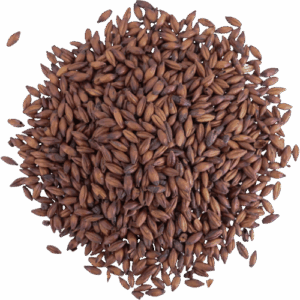 Malta Chocolate- Altiplano