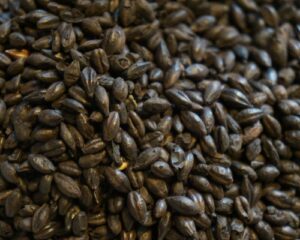 Malta Perlada sin cascara(Pearled Black) - Viking